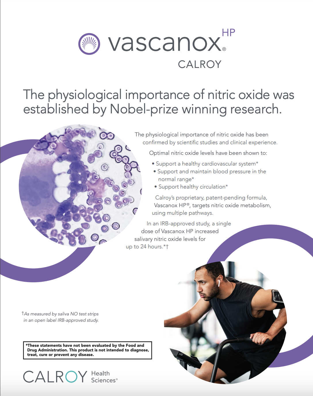 Vascanox Product Info sheet 2023 • Calroy Health Sciences